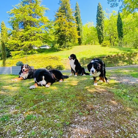 בית נופש La Bastide De Meilhouret