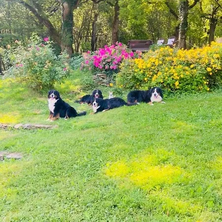 Ferienhaus La Bastide De Meilhouret Larroque (Tarn)