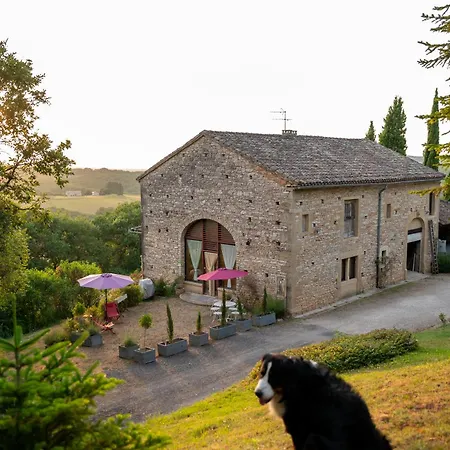 La Bastide De Meilhouret Larroque (Tarn)