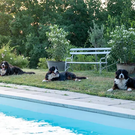 Ferienhaus La Bastide De Meilhouret *