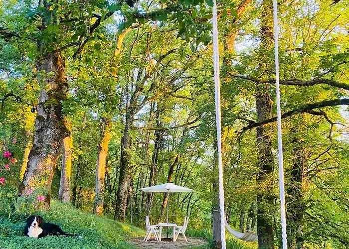 La Bastide De Meilhouret Larroque (Tarn)