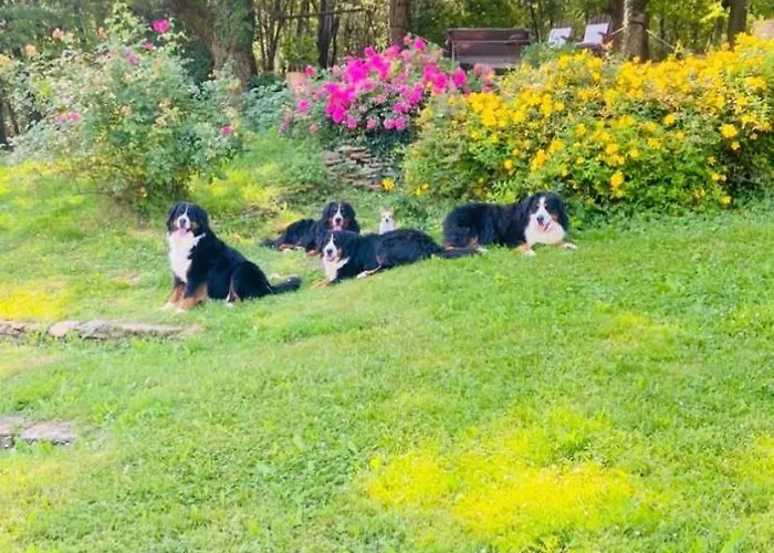 Casa vacanze La Bastide De Meilhouret Larroque (Tarn)