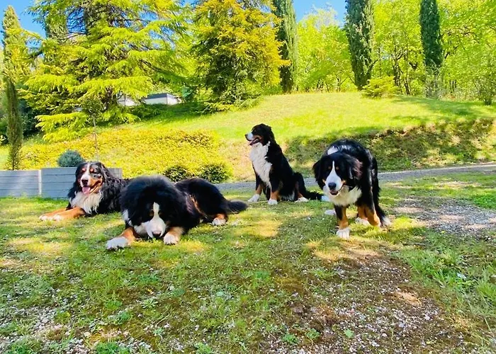Casa vacanze La Bastide De Meilhouret