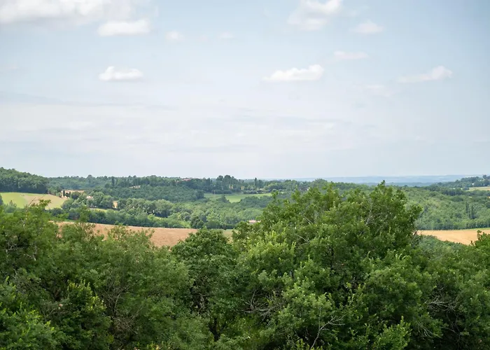La Bastide De Meilhouret Larroque (Tarn)