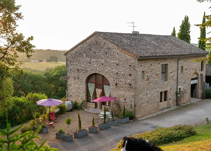 La Bastide De Meilhouret Larroque (Tarn)