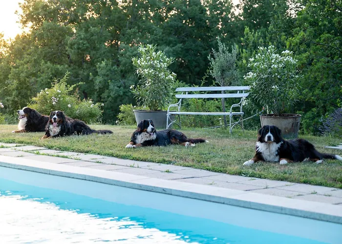 Casa vacanze La Bastide De Meilhouret *